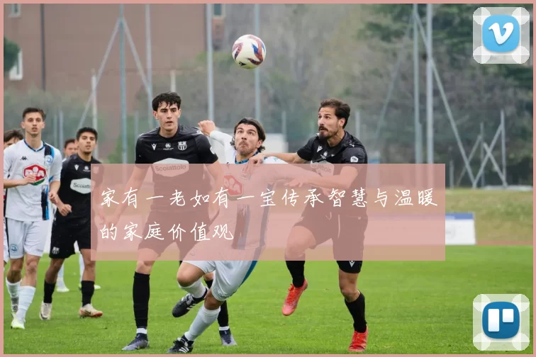 家有一老如有一宝传承智慧与温暖的家庭价值观